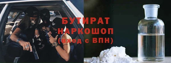 индика Богородск