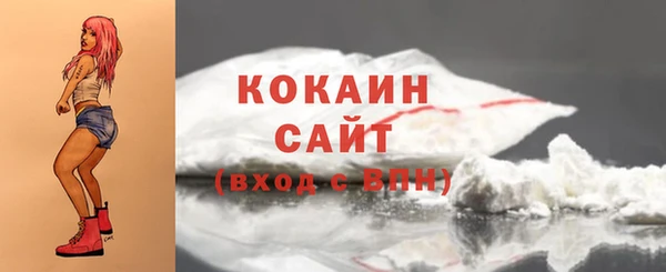 индика Богородск