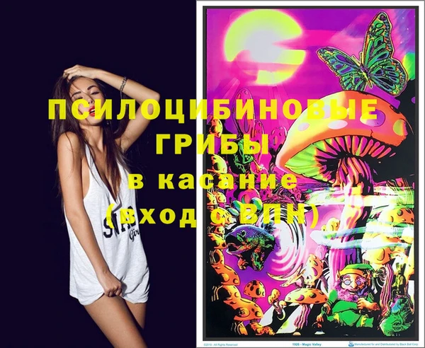 гидра Белокуриха
