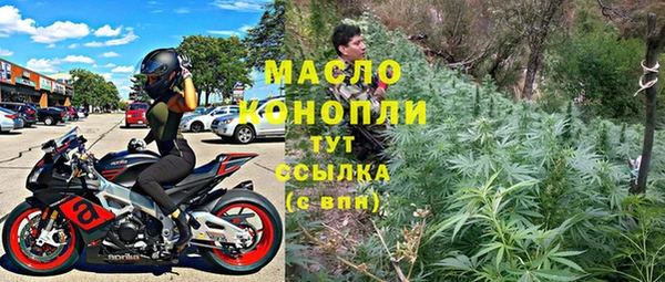 индика Богородск