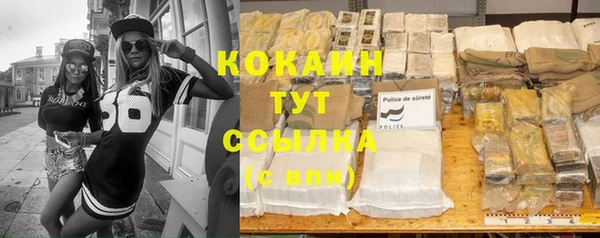 индика Богородск