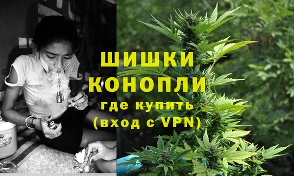индика Богородск